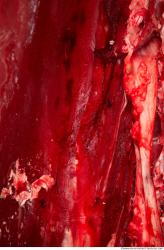 Photo Textures of RAW Beef Meat